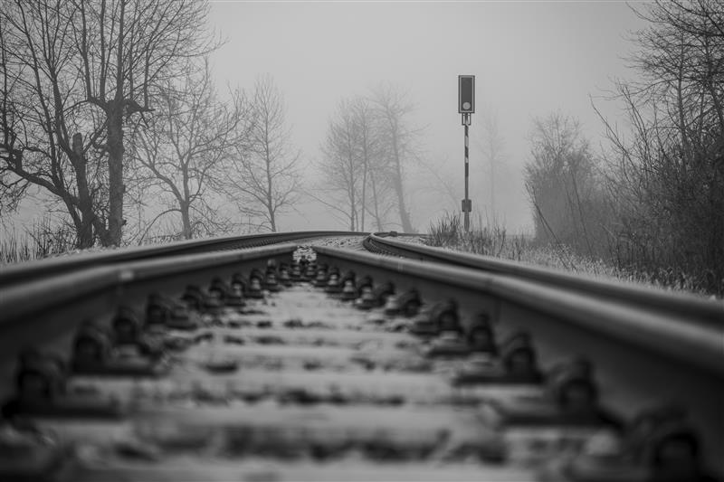 Ein Spaziergang mit drei Hunden ist im oberbayerischen Hohenfurch tödlich geendet.