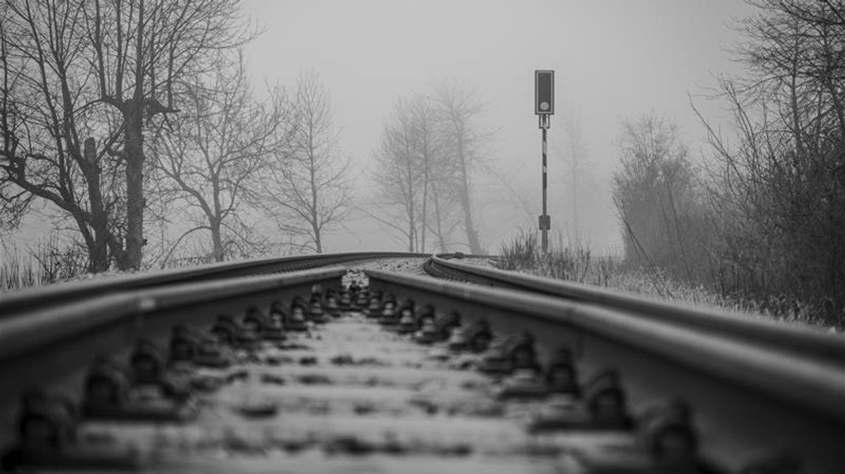 Tragödie beim Gassigehen – Mann und Hund von Zug erfasst