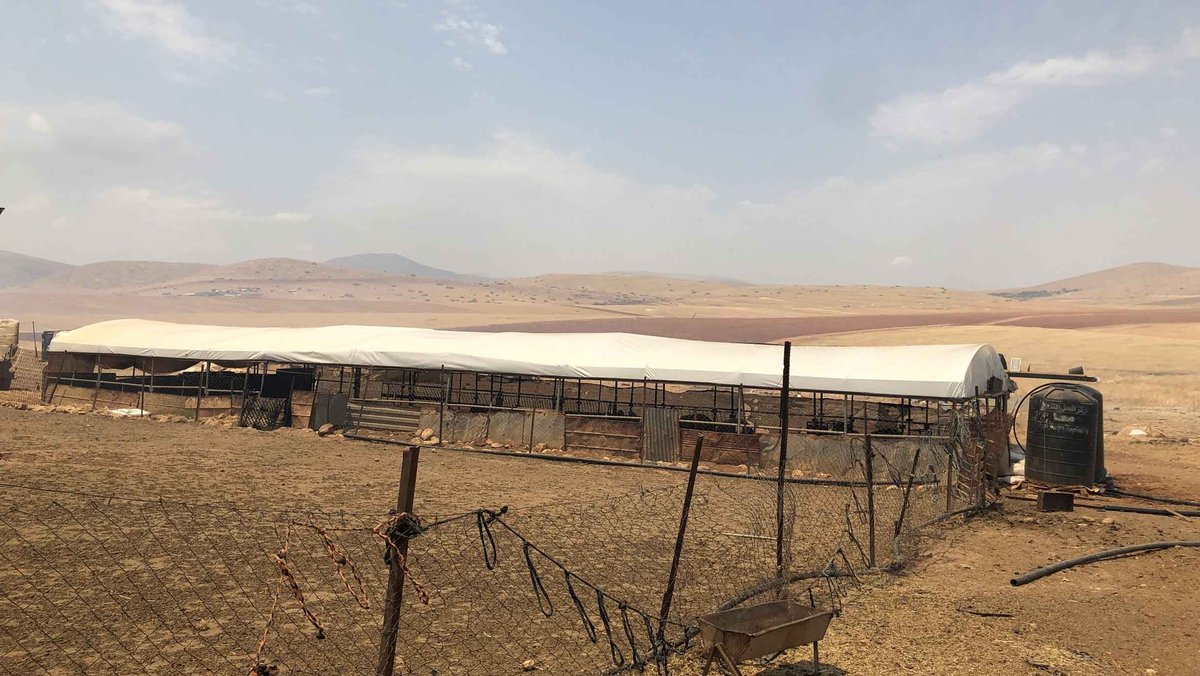 Eine rostige Stahlkonstruktion mit weißem Zeltdach bietet den Schafen Schatten in einer kargen, gelbroten Wüstenlandschaft.