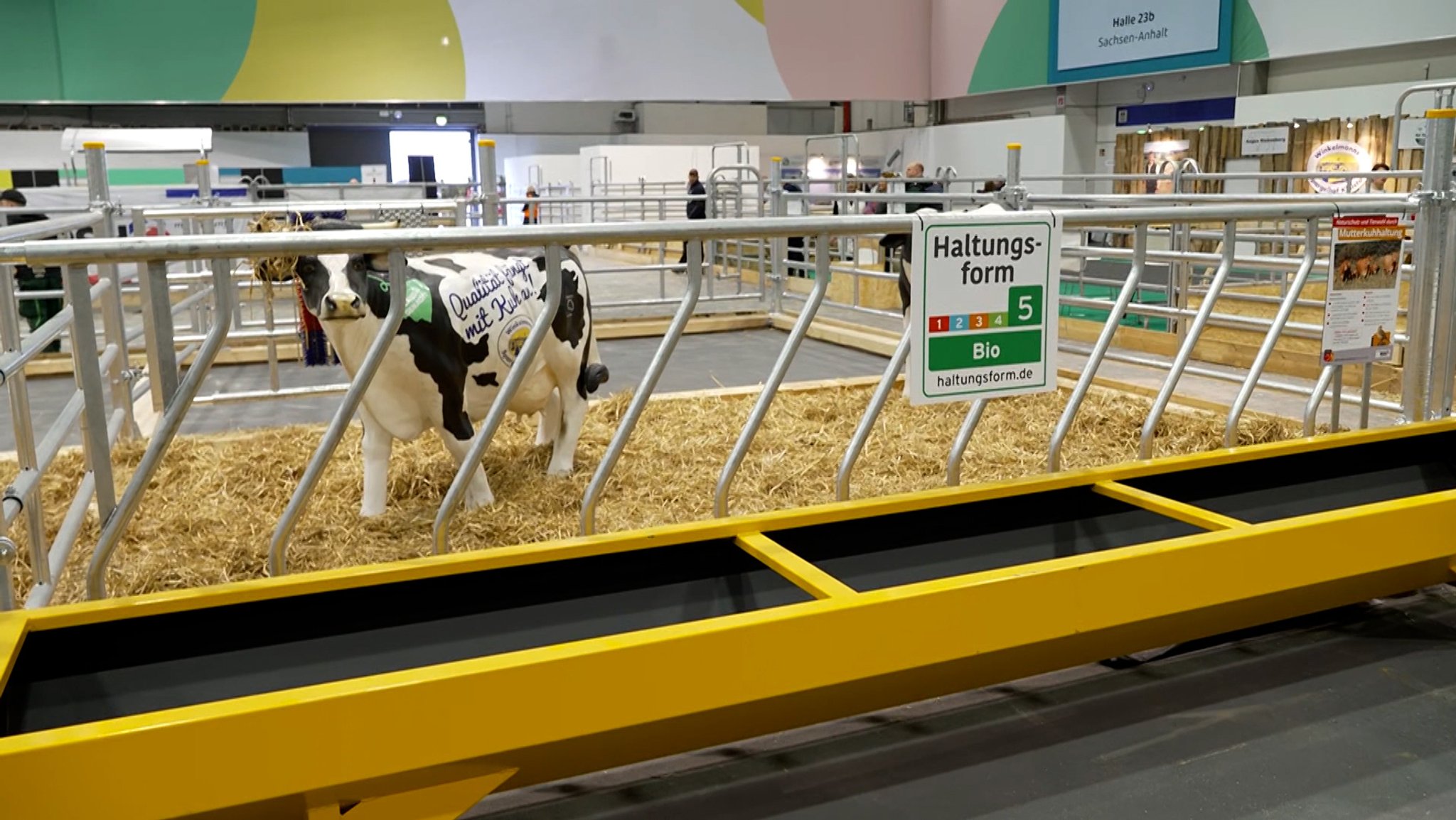 In Berlin beginnt die Agrarmesse GRÜNE WOCHE.