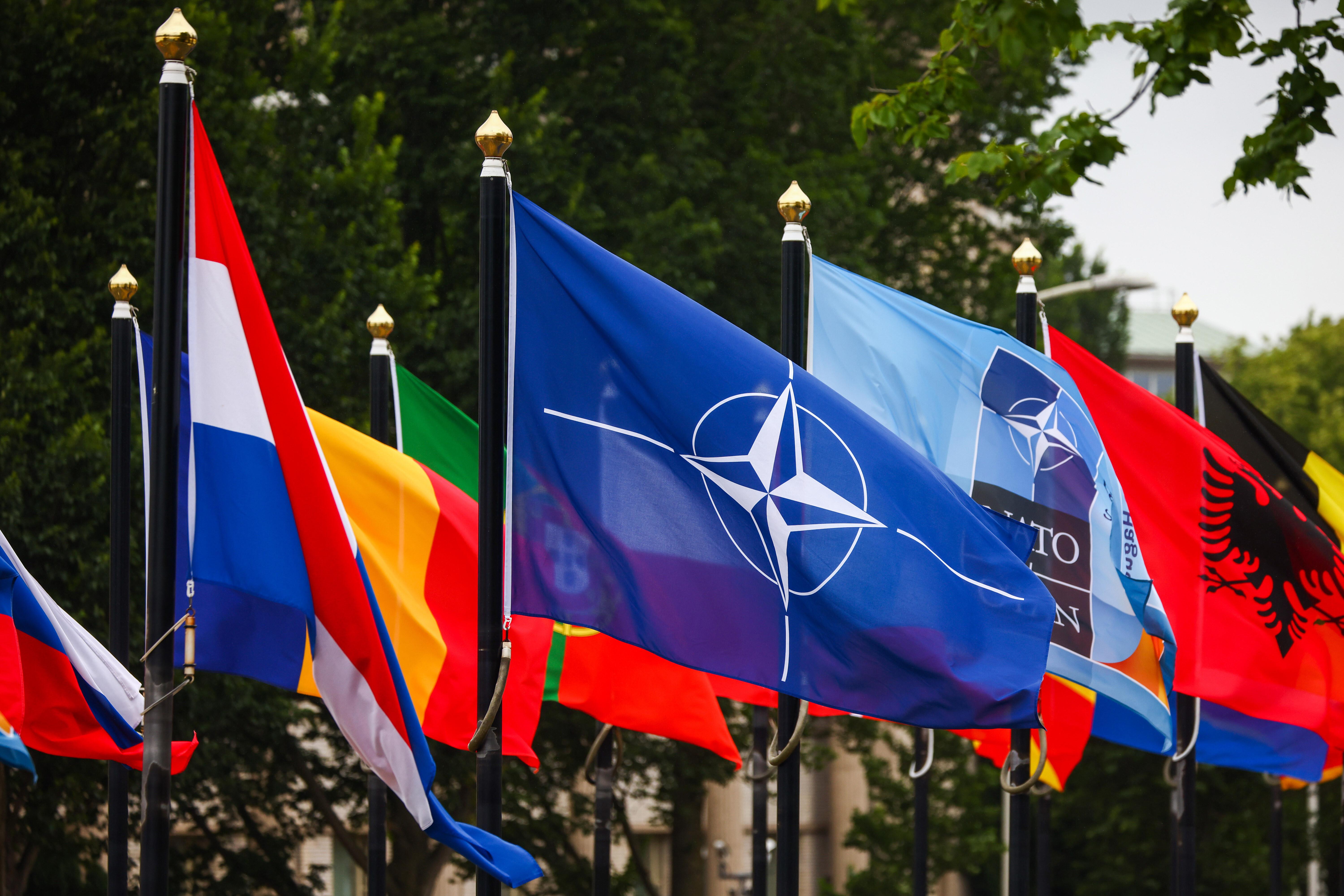 (Symbolbild) Nato-Flagge und Flaggen mehrerer Nato-Mitgliedsländer im Juni 2025 in Den Haag