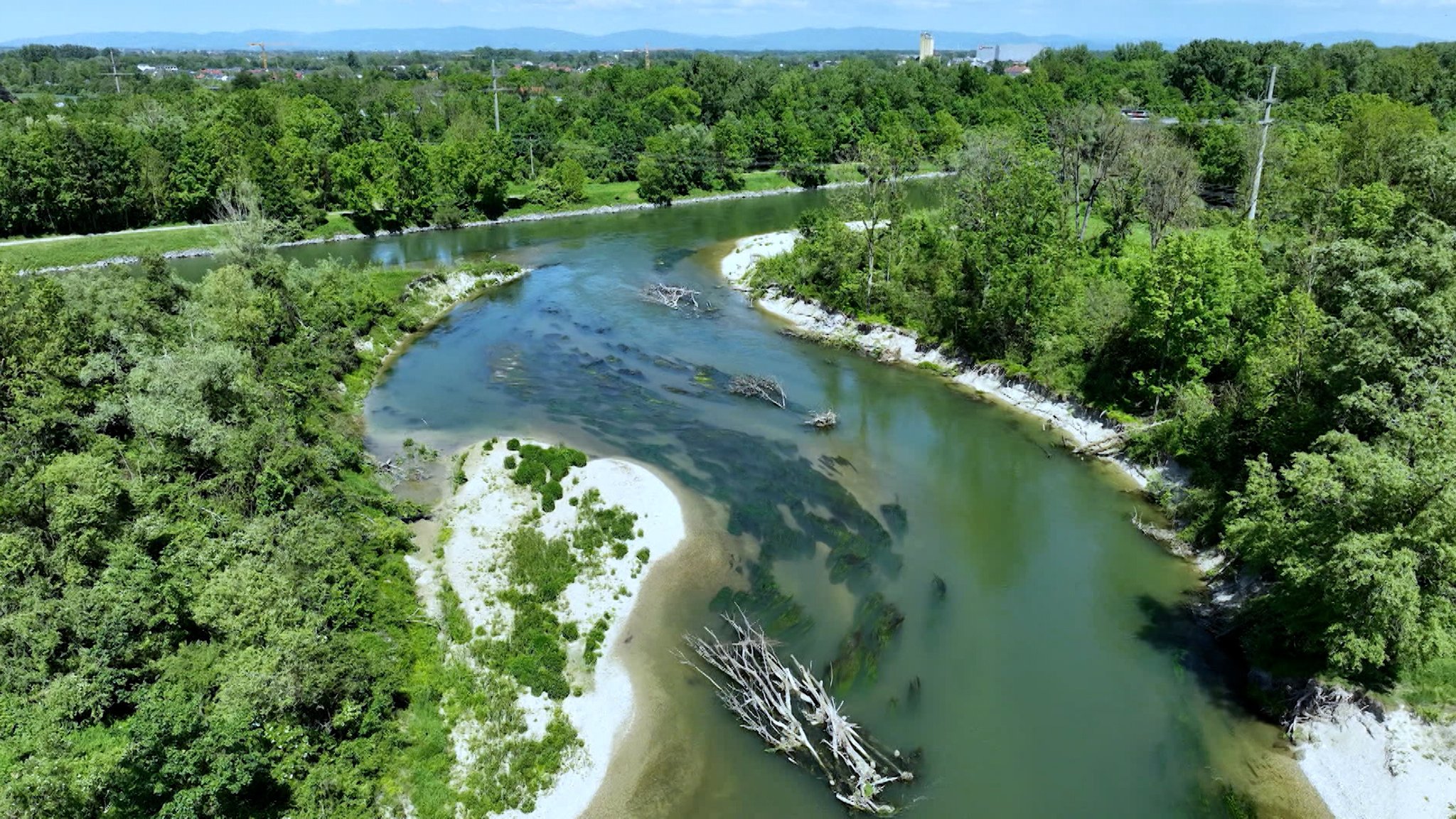 Die wilde Isar bei Landau von oben