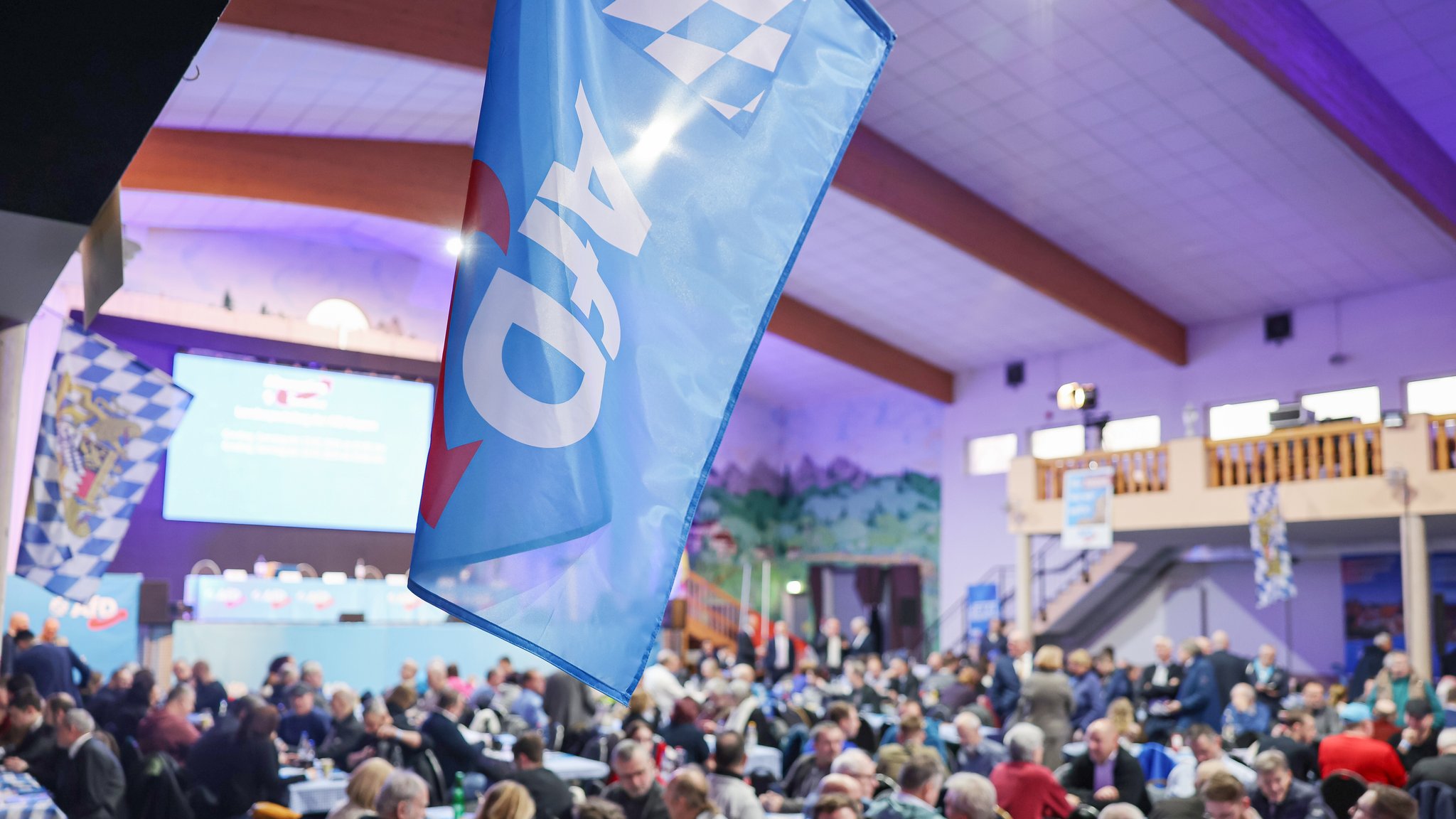 Archivbild: AfD-Landesparteitag | Bild: picture alliance/dpa | Daniel Löb Archivbild: AfD-Landesparteitag