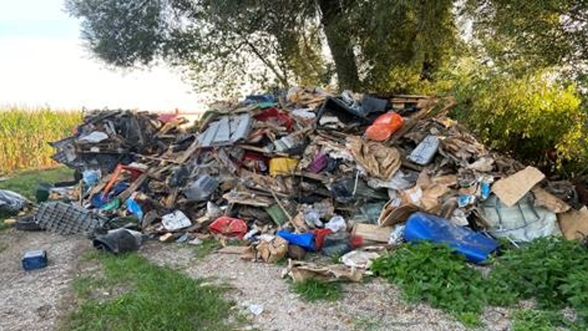 Der Müllberg im Waldstück