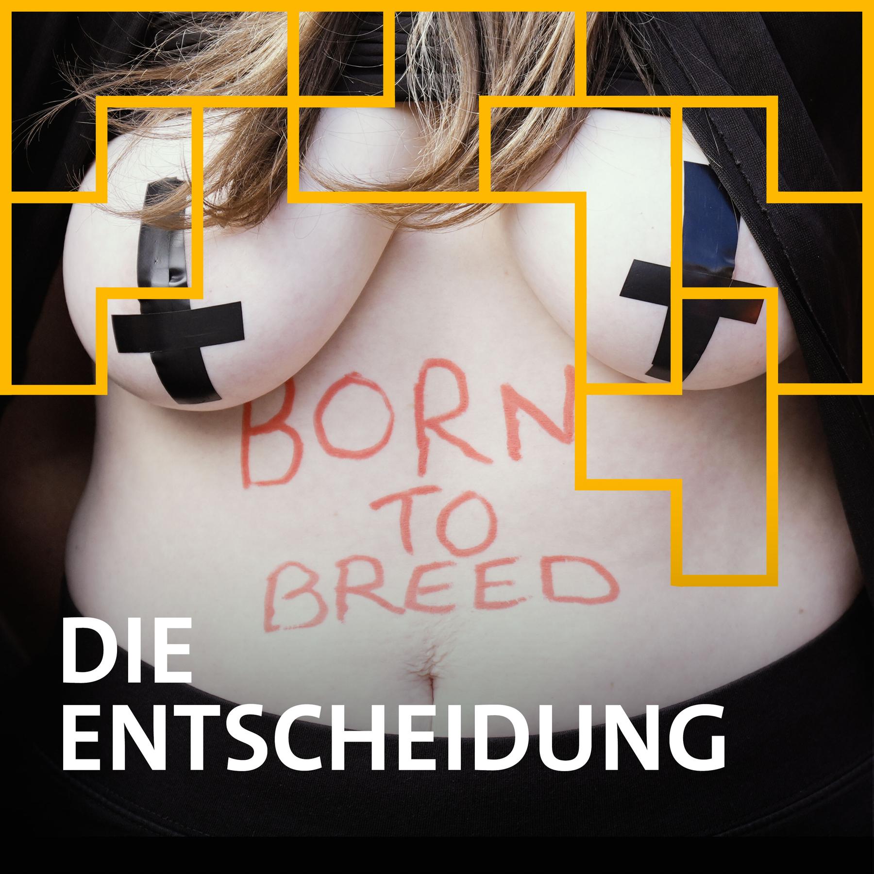 Die Entscheidung. Politik, die uns bis heute prägt