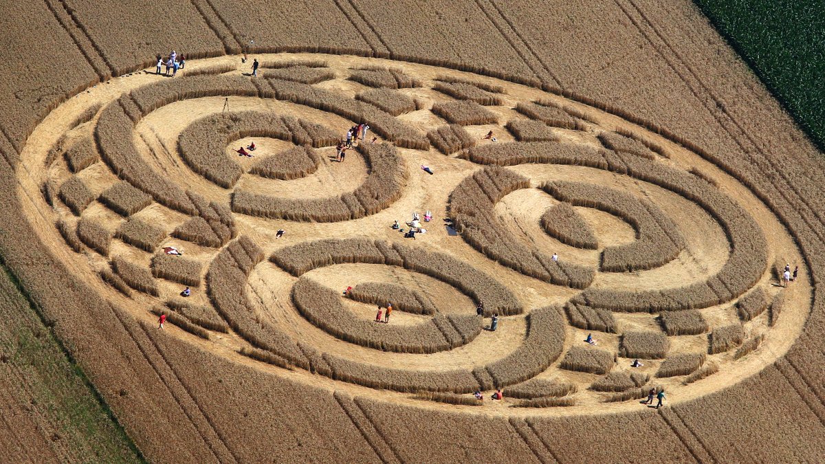 Interessierte durchstreifen am 28.07.2014 einen Kornkreis in einem Weizenfeld bei Raisting
