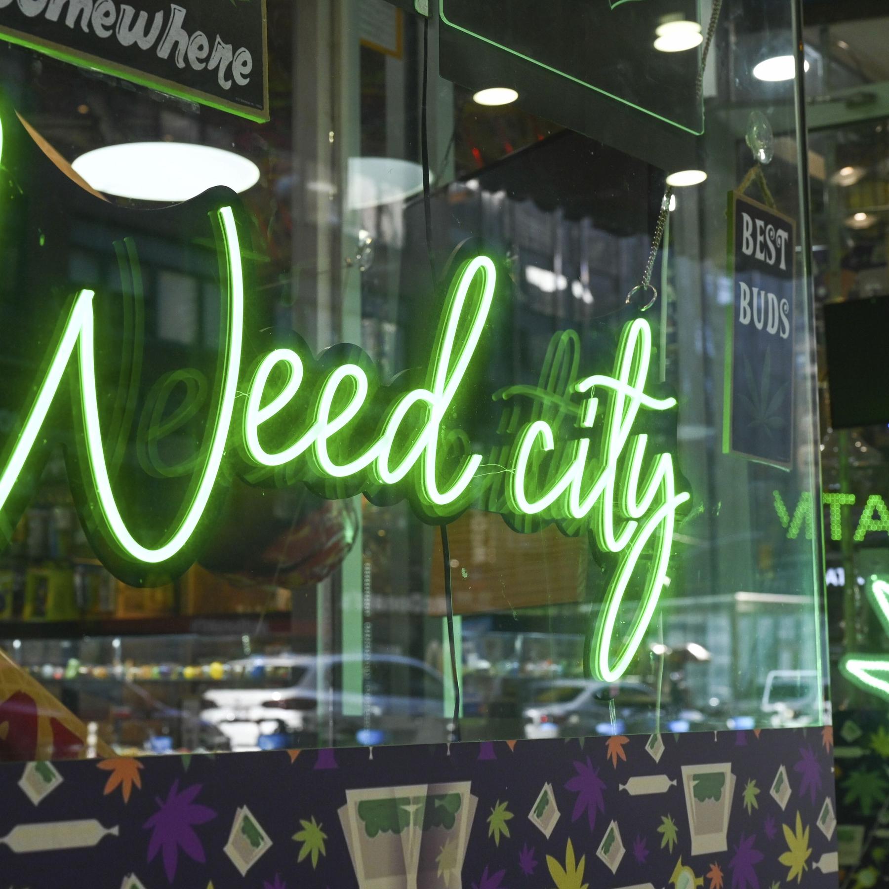 Cannabis - Spagat zwischen Legalisierung und Gesundheitsschutz