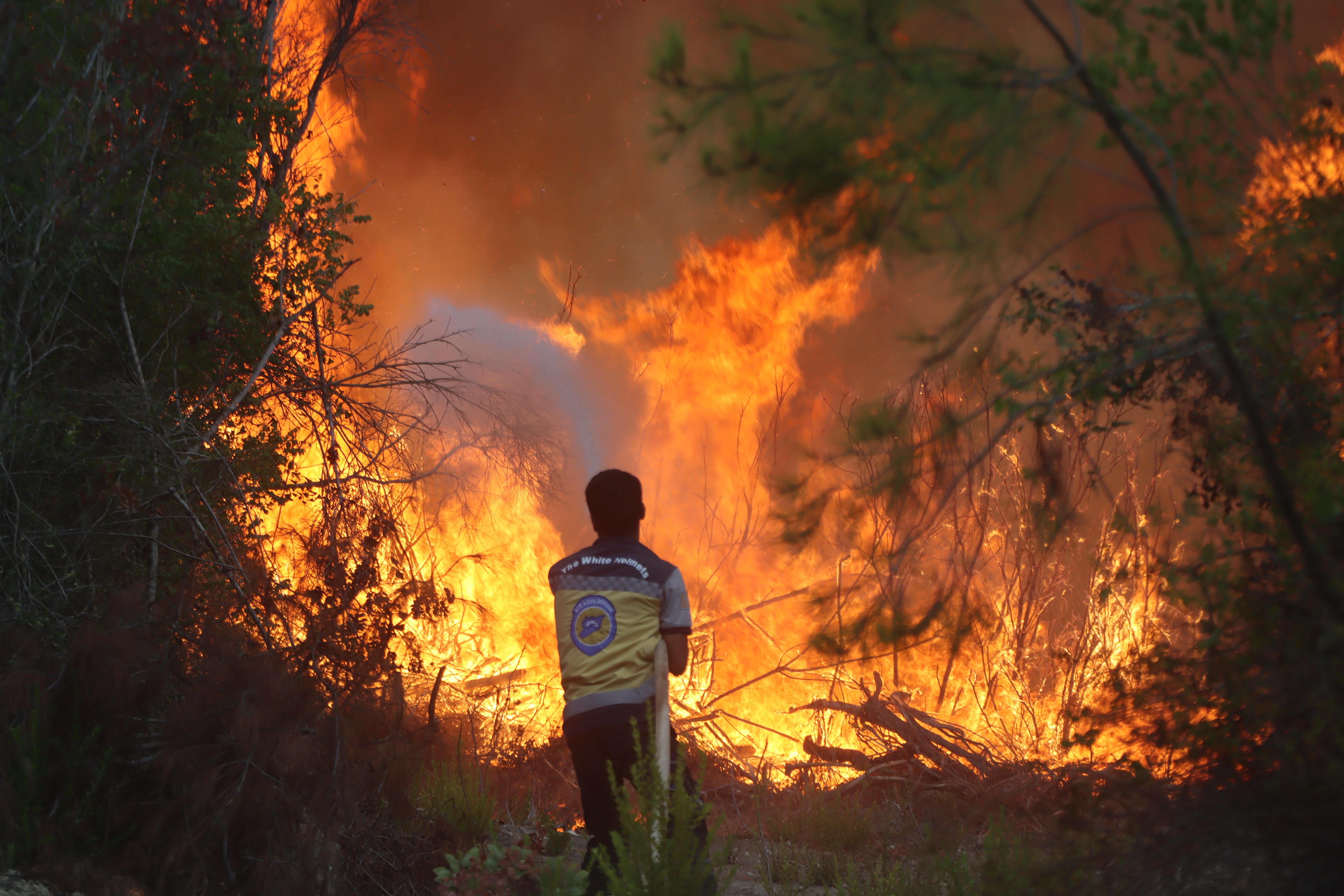 Feuerwehrmann kämpft gegen Waldbrand in Syrien