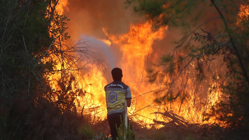Feuerwehrmann kämpft gegen Waldbrand in Syrien | Bild: picture alliance / Anadolu | Sevket Akca Feuerwehrmann kämpft gegen Waldbrand in Syrien