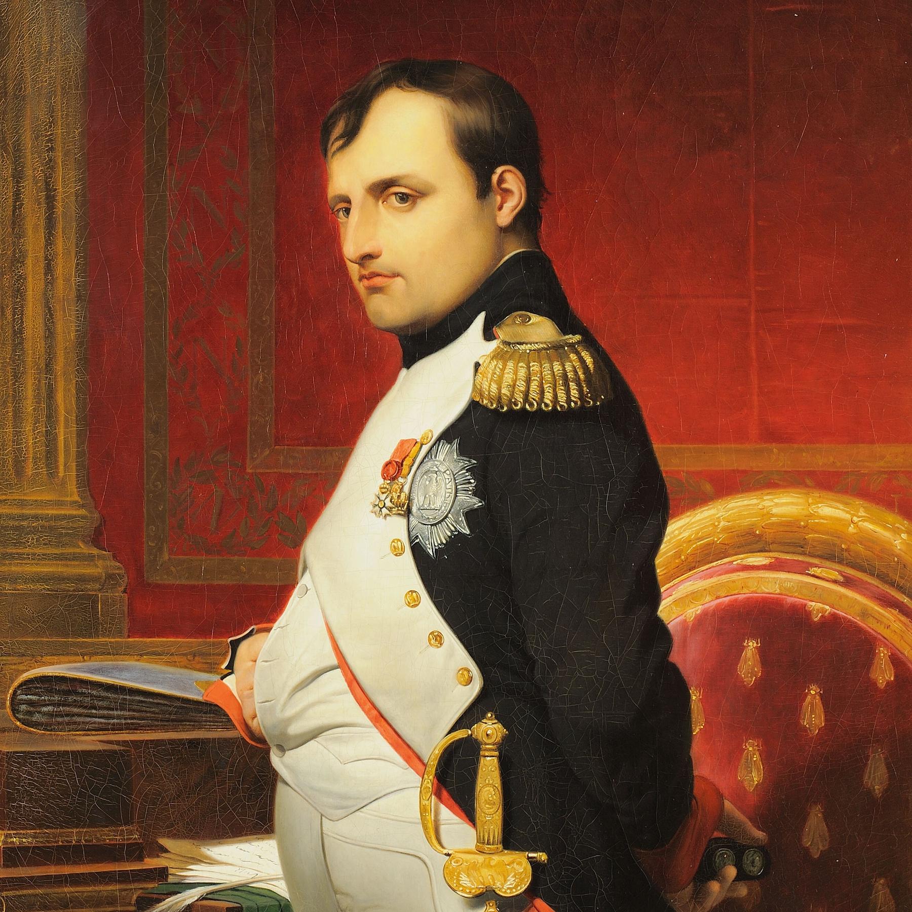 GAMECHANGER - Napoleon und die Erschütterung der Macht