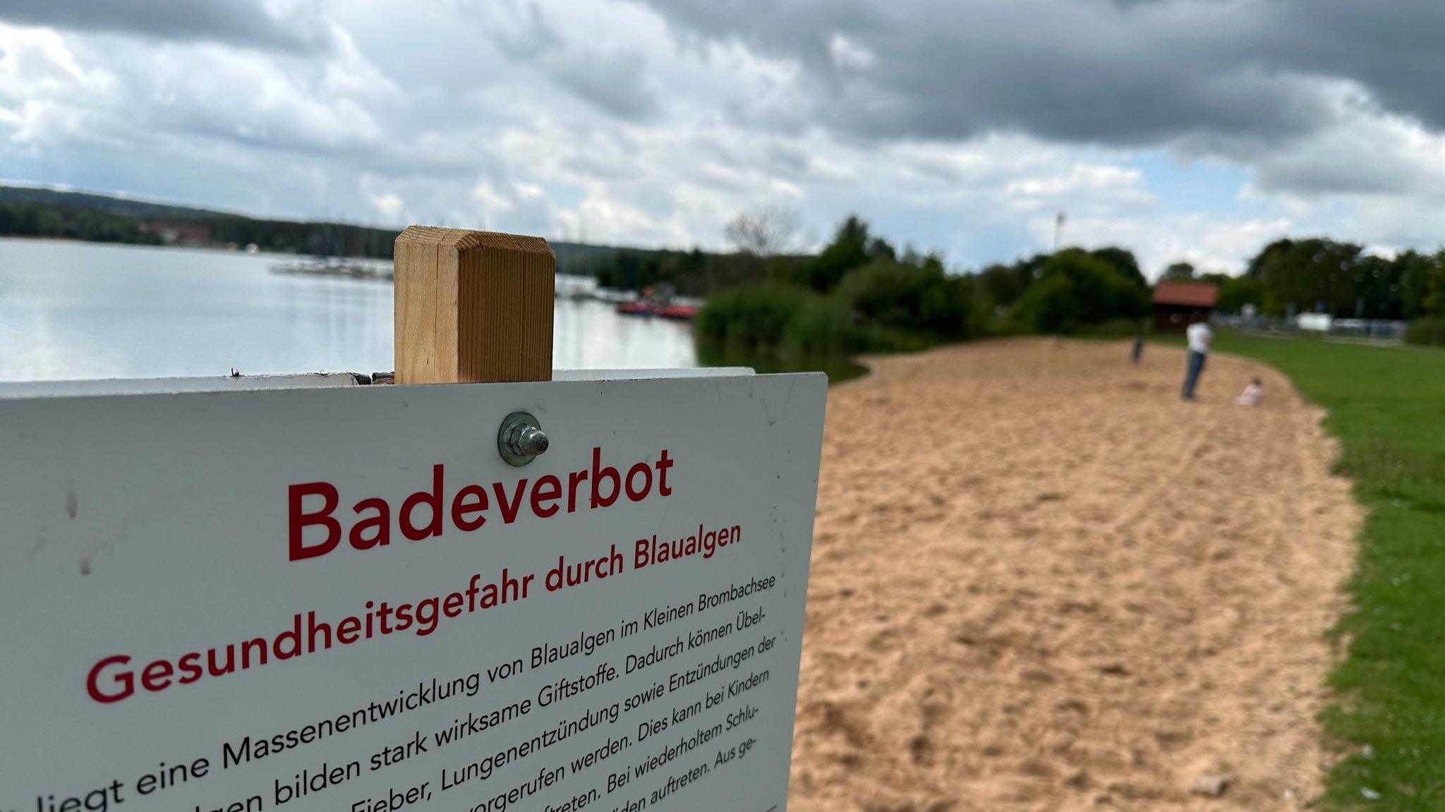 Auf einem Schild vor einem See steht "Badeverbot – Gesundheitsgefahr durch Blaualgen" | Bild: BR/ Ulrike Lefherz Auf einem Schild vor einem See steht "Badeverbot – Gesundheitsgefahr durch Blaualgen"