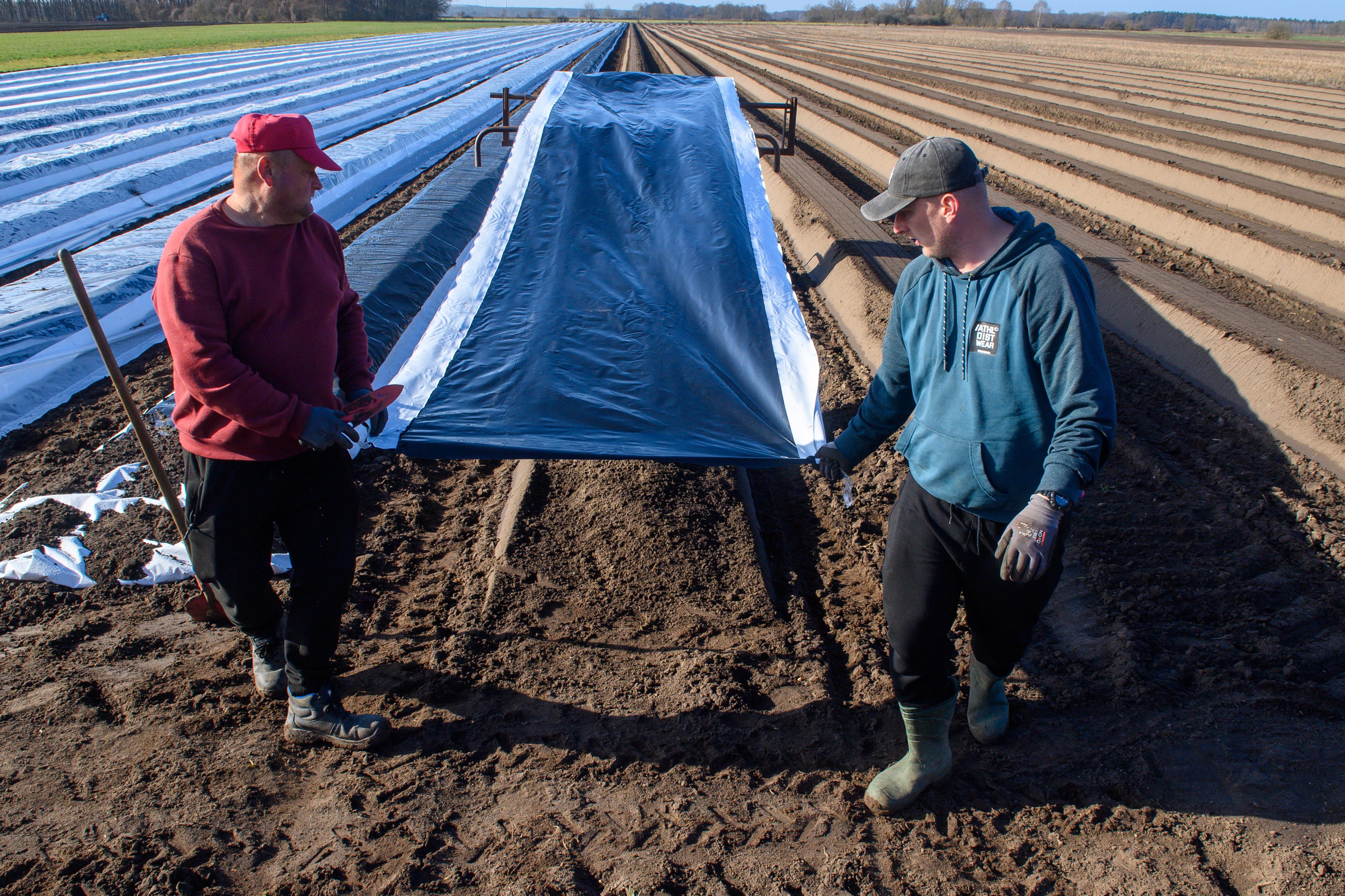 Farmers' Association demands special minimum wage rule for seasonal ...