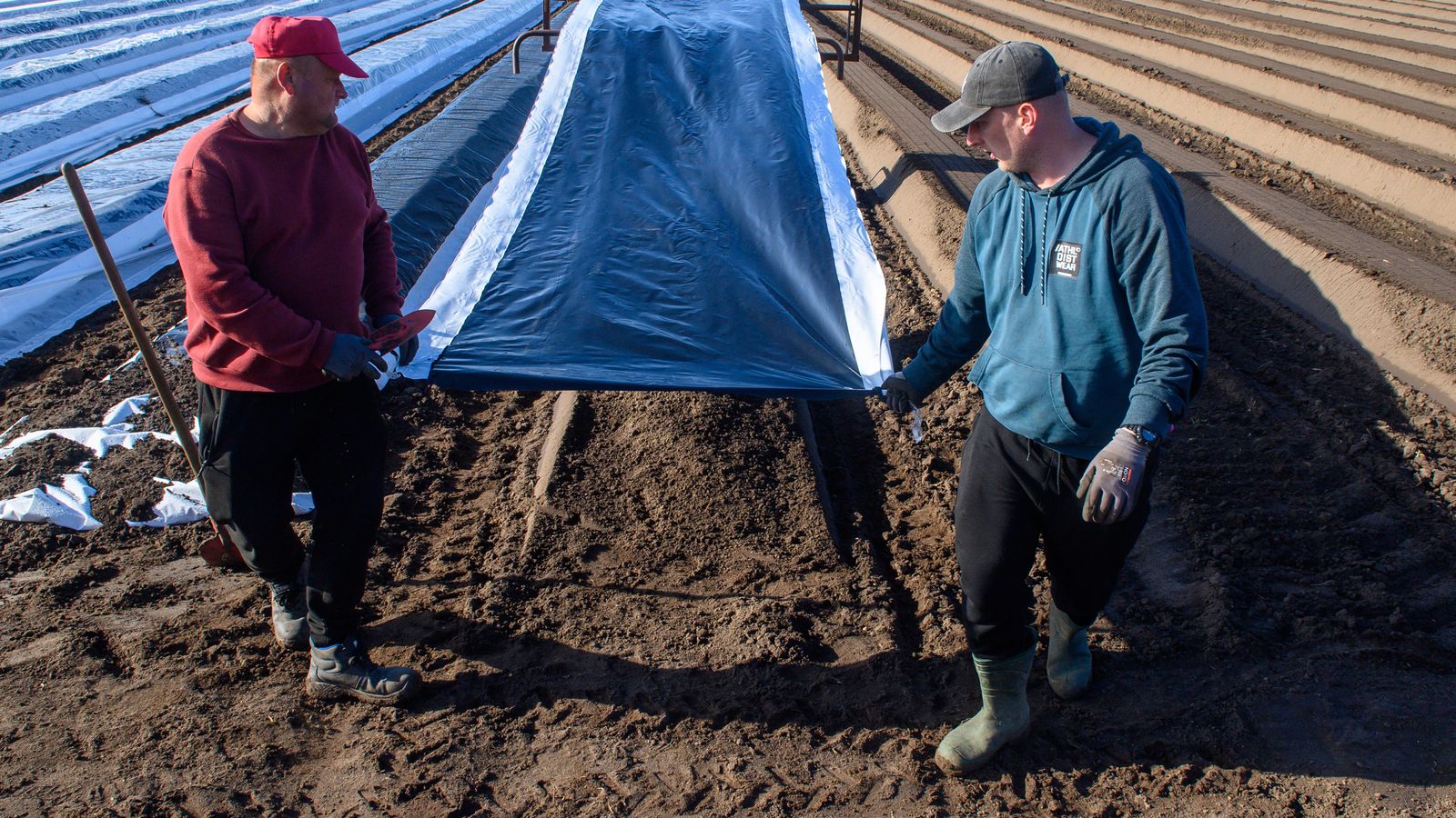 Farmers' Association demands special minimum wage rule for seasonal ...