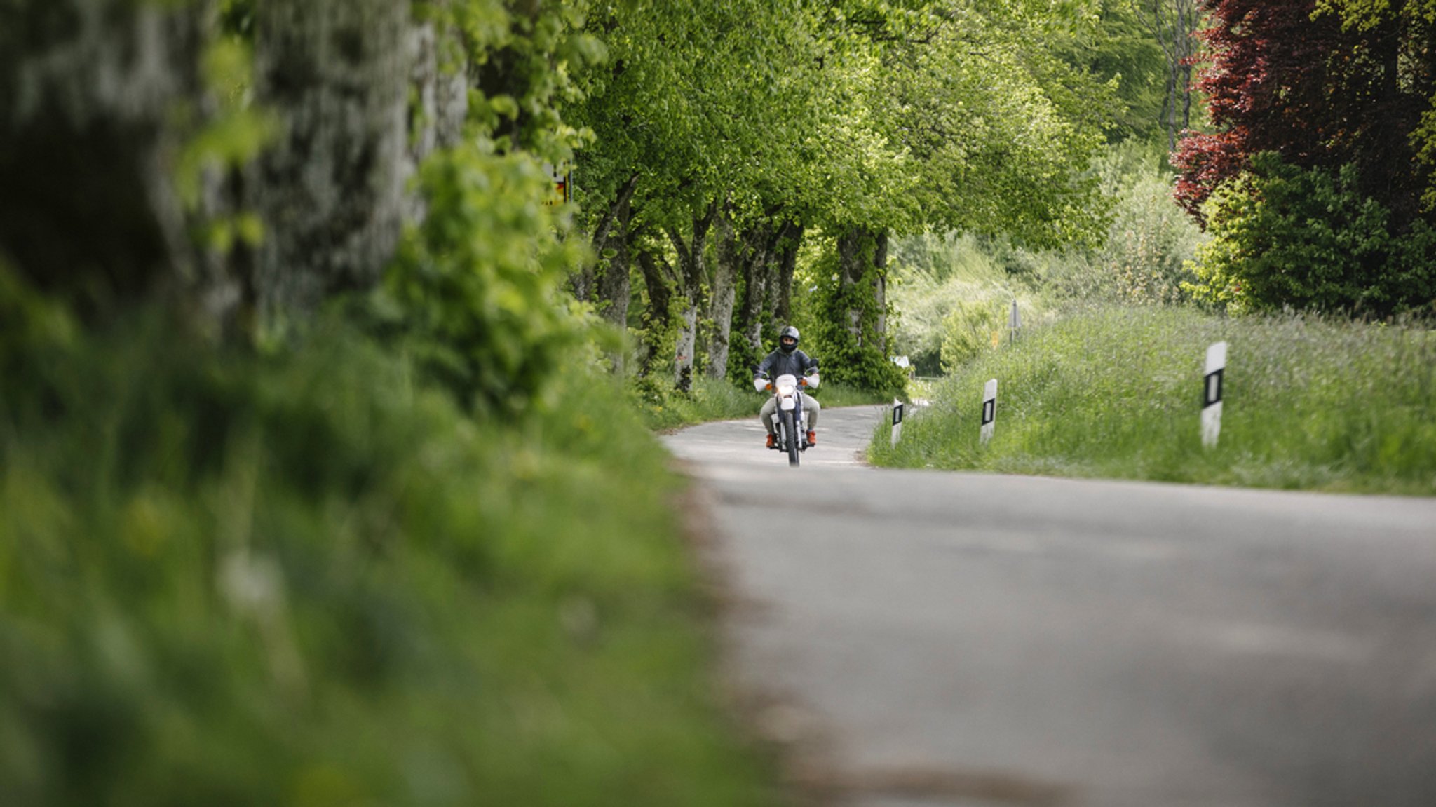 Ein Motorradfahrer auf einer Landstraße.