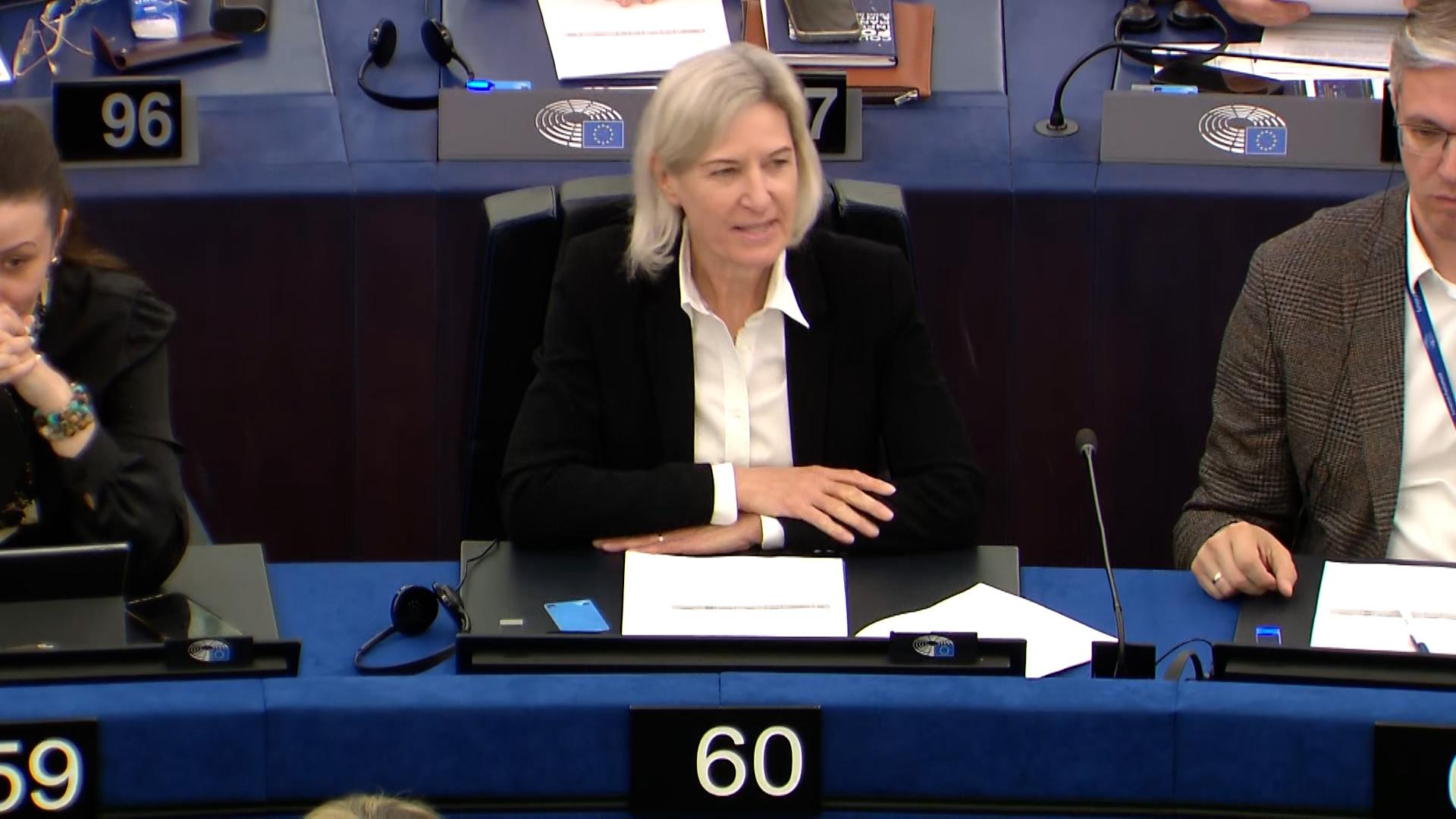 Angelika Niebler im EU-Parlament