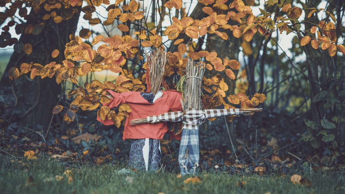 Two straw dolls are standing in front of a tree.