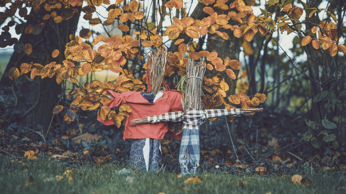 Two straw dolls are standing in front of a tree. | Bild: picture alliance / Zoonar | Polarpx Two straw dolls are standing in front of a tree.