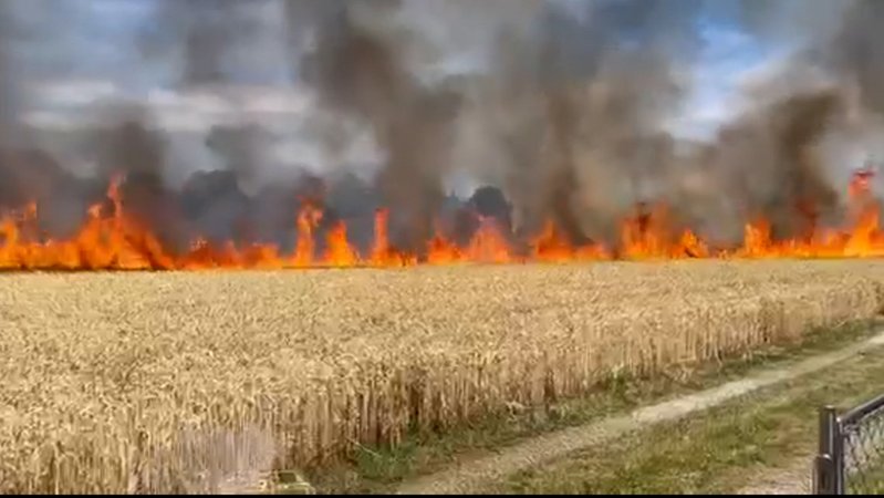 Meterhohe Flammen auf einem Weizenfeld am Ortsrand von Langweid