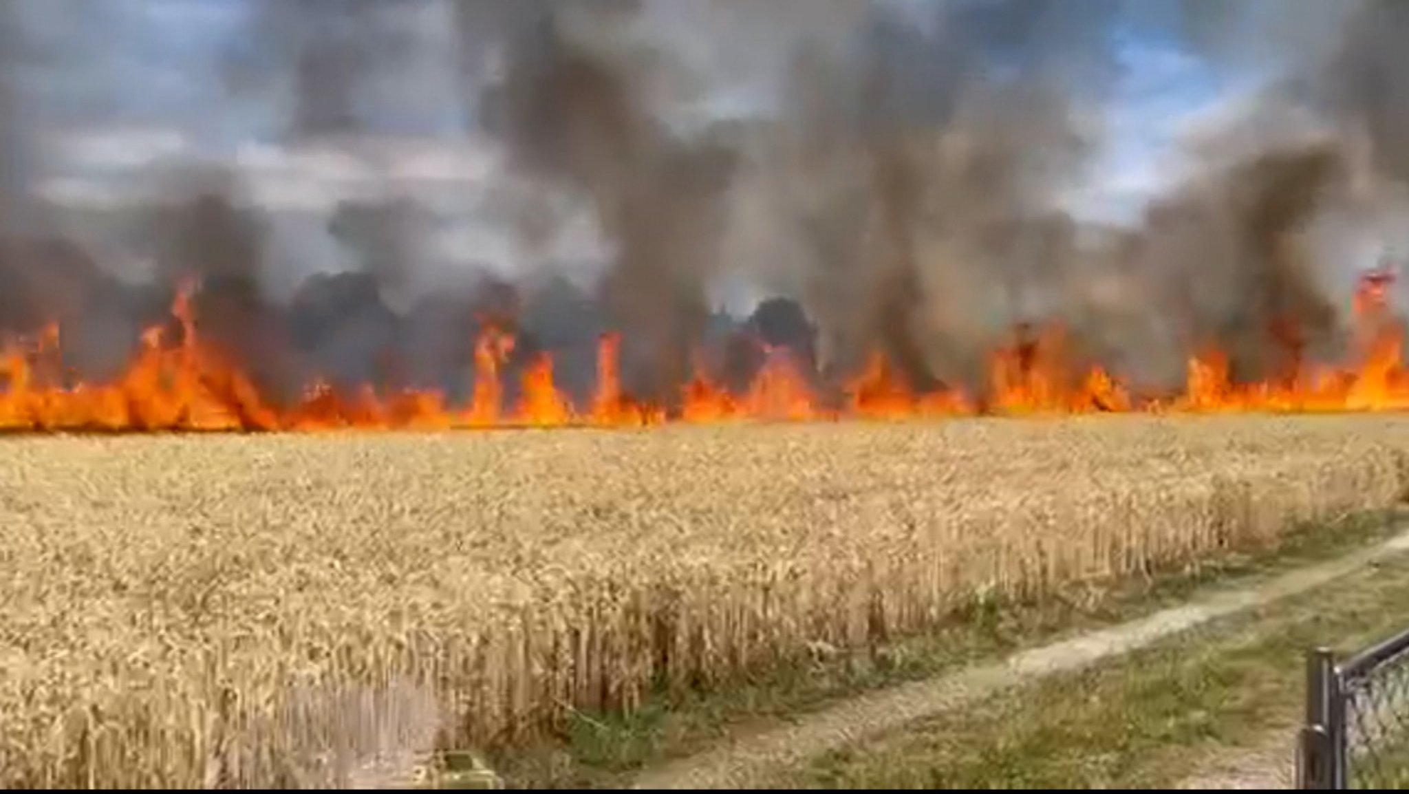 Meterhohe Flammen auf einem Weizenfeld am Ortsrand von Langweid