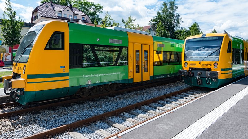 Zwei Züge der Waldbahn