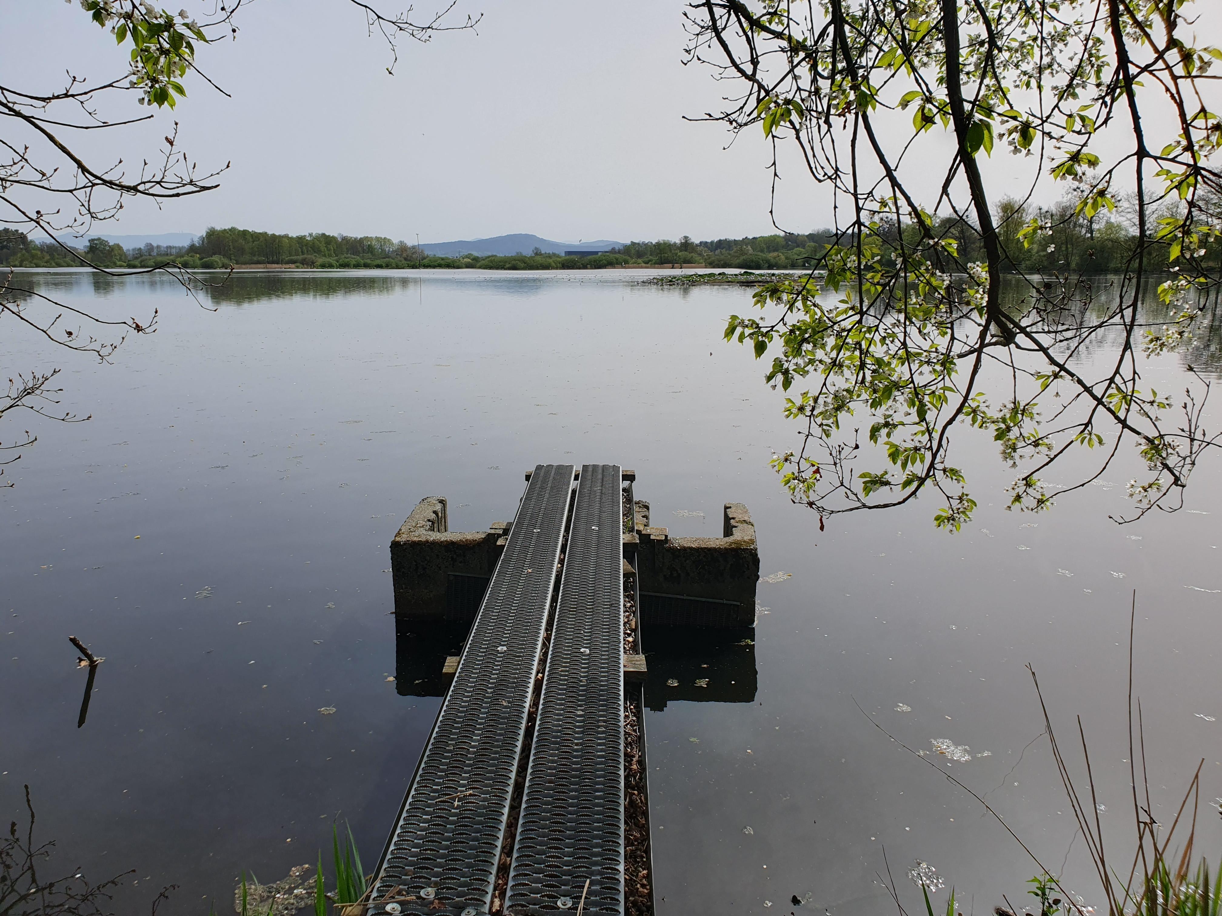 Der Rötelseeweiher mit dem Teichablauf im Vordergrund