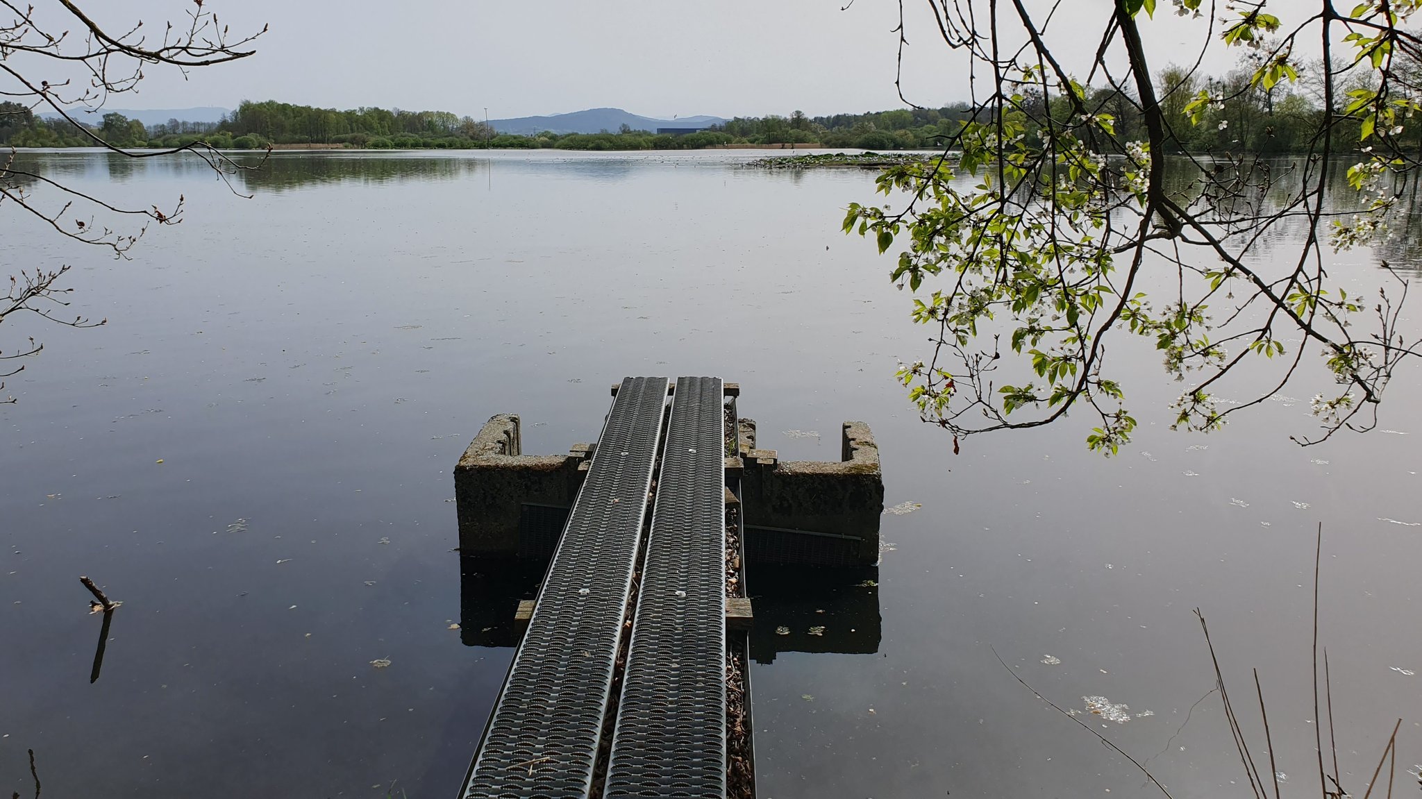 Der Rötelseeweiher mit dem Teichablauf im Vordergrund