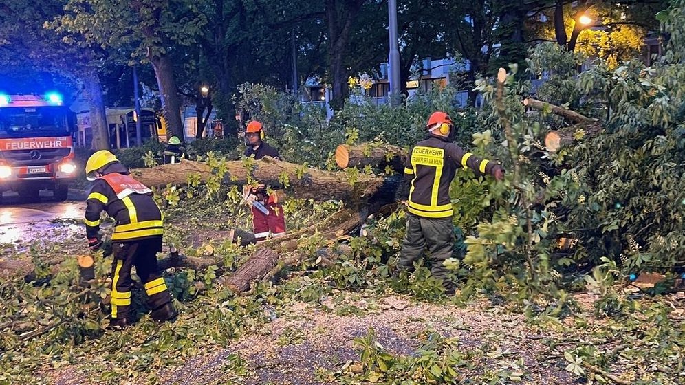 Feuerwehrleute arbeiten an der Beseitigung eines umgestürzten Baumes nach einem Sturm. | Bild:dpa-Bildfunk/Mike Seeboth