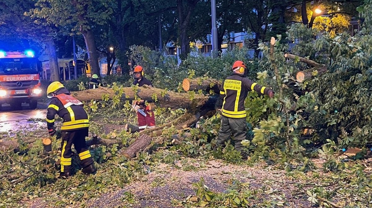 Feuerwehrleute arbeiten an der Beseitigung eines umgestürzten Baumes nach einem Sturm.
