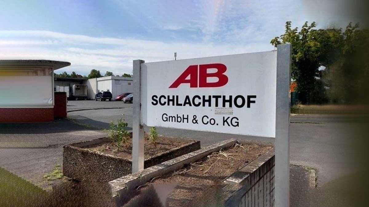 Schlachthof Aschaffenburg: Tierquälerei "nur" Eisberg-Spitze?