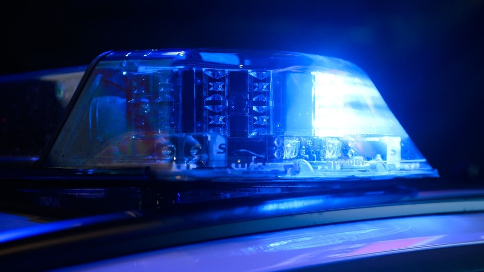 Zwei Pferde sterben nach Kollision mit Auto