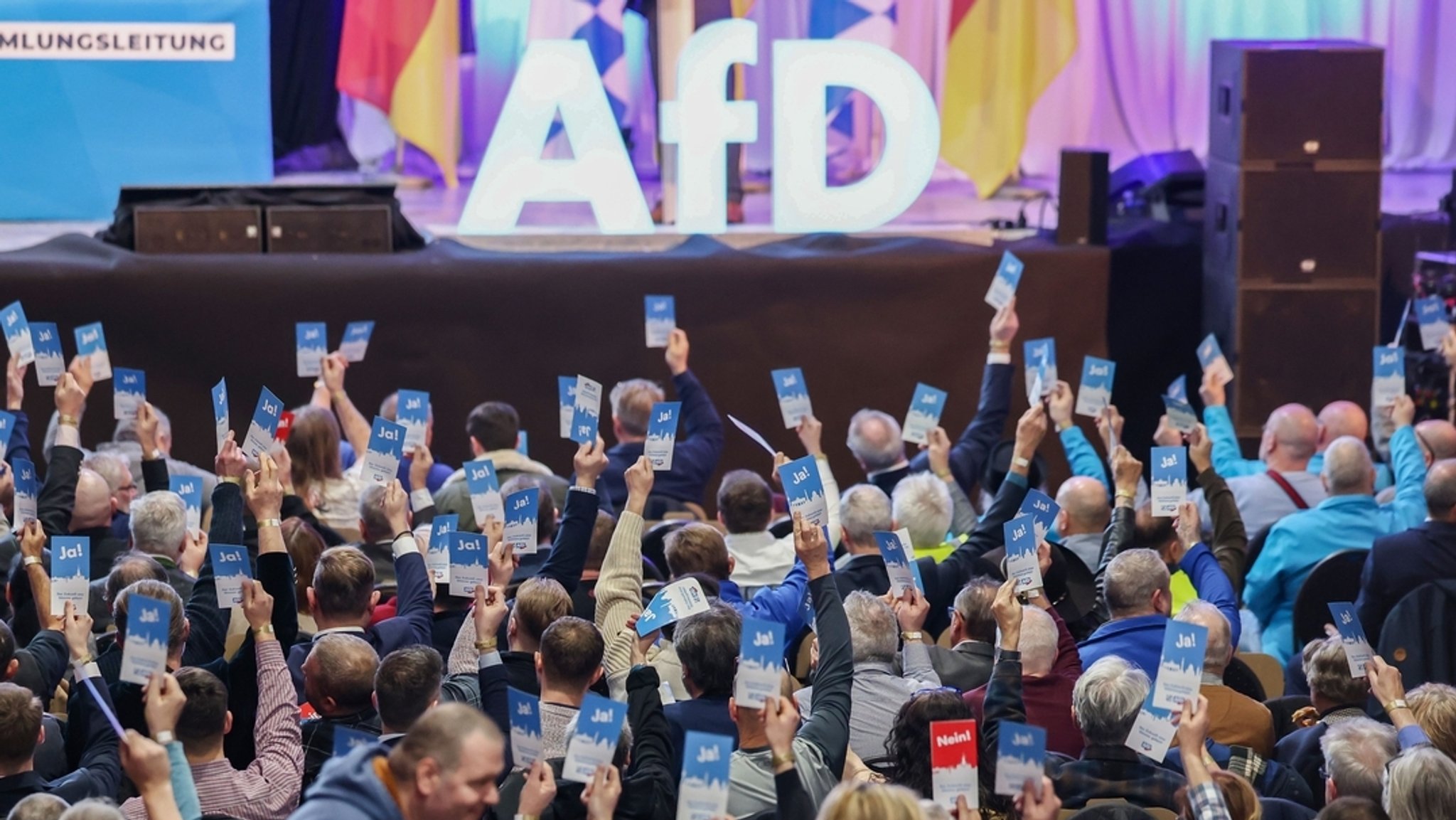 Die AfD-Mitglieder stimmen mit Stimmkarten ab. Hinten ist ein AfD-Logo zu sehen. | Bild: dpa-Bildfunk/Daniel Löb Die AfD-Mitglieder stimmen mit Stimmkarten ab. Hinten ist ein AfD-Logo zu sehen.