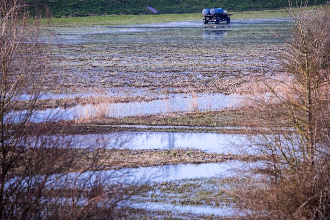 Grünfläche in Mecklenburg-Vorpommern nach wochenlangem Regen.