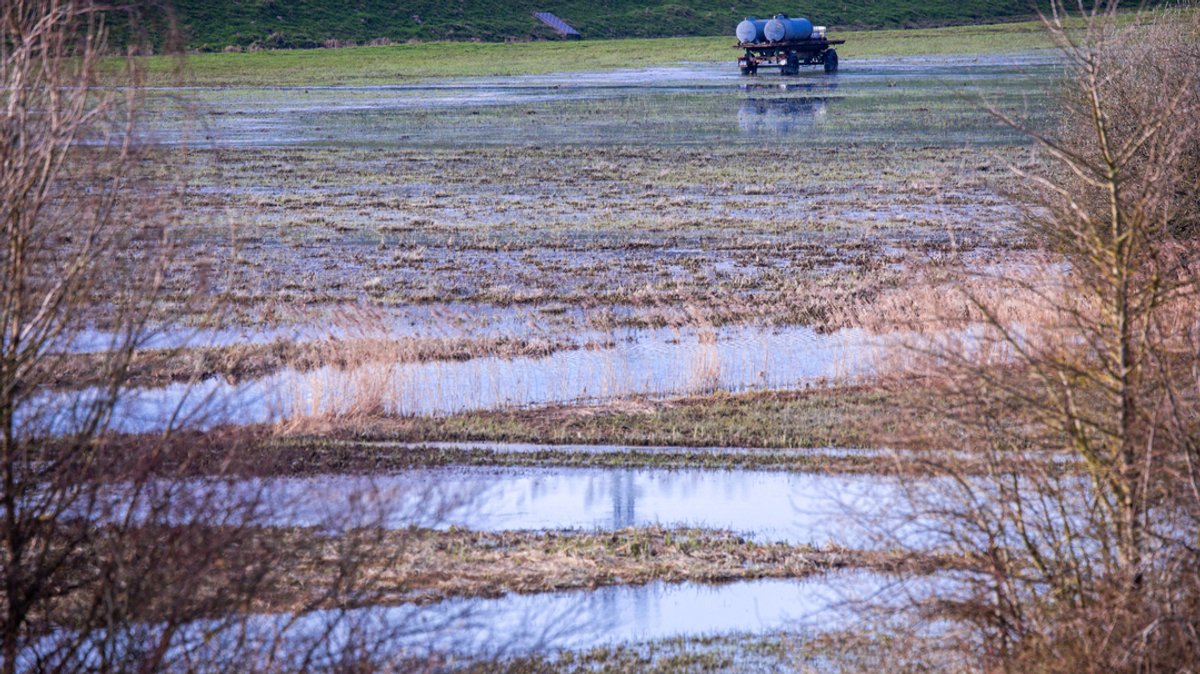 Hochwasserschutz: Wetterdienst mit Vorhersage für Bodenfeuchte