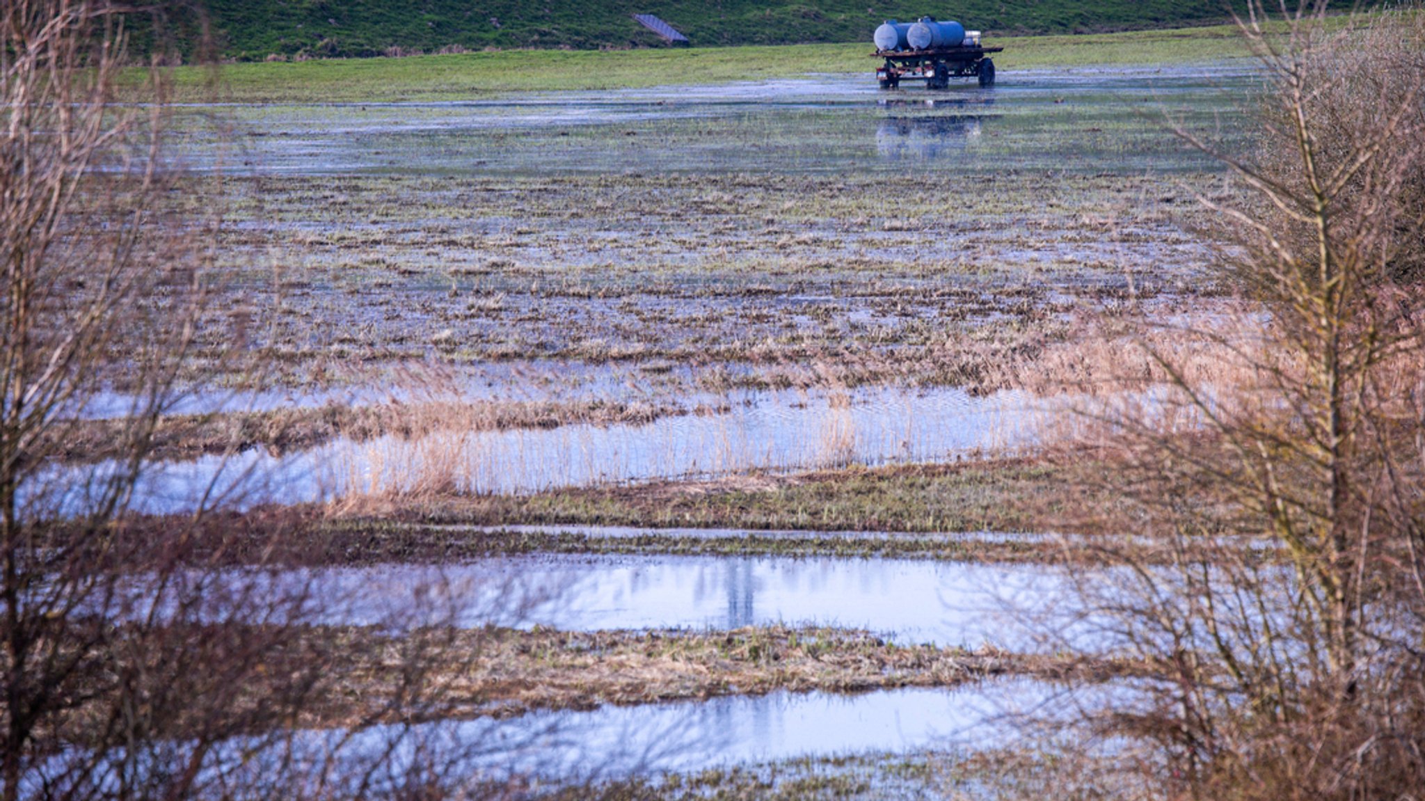 Grünfläche in Mecklenburg-Vorpommern nach wochenlangem Regen.