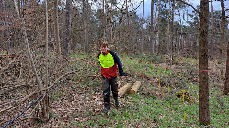 Ein Helfer verlegt den Schlauch für eine Tröpfchenbewässerungsanlage im Wald in Sommerhausen. | Bild: Wolfgang Schölch Ein Helfer verlegt den Schlauch für eine Tröpfchenbewässerungsanlage im Wald in Sommerhausen.