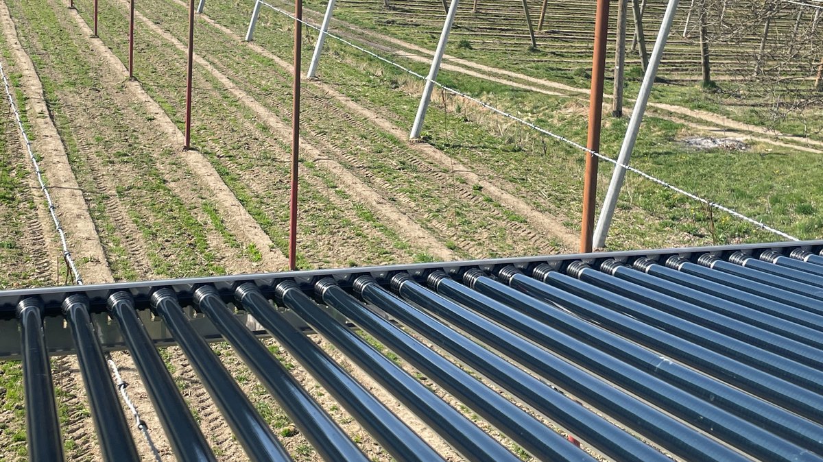 Blick auf ein Hopfenfeld mit noch leeren Hopfenstangen; im Vordergrund Solar-Module in Röhrenform.