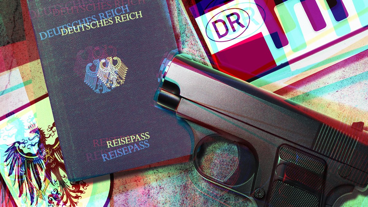Reichsbürger-Pass, Nummernschild und Waffe