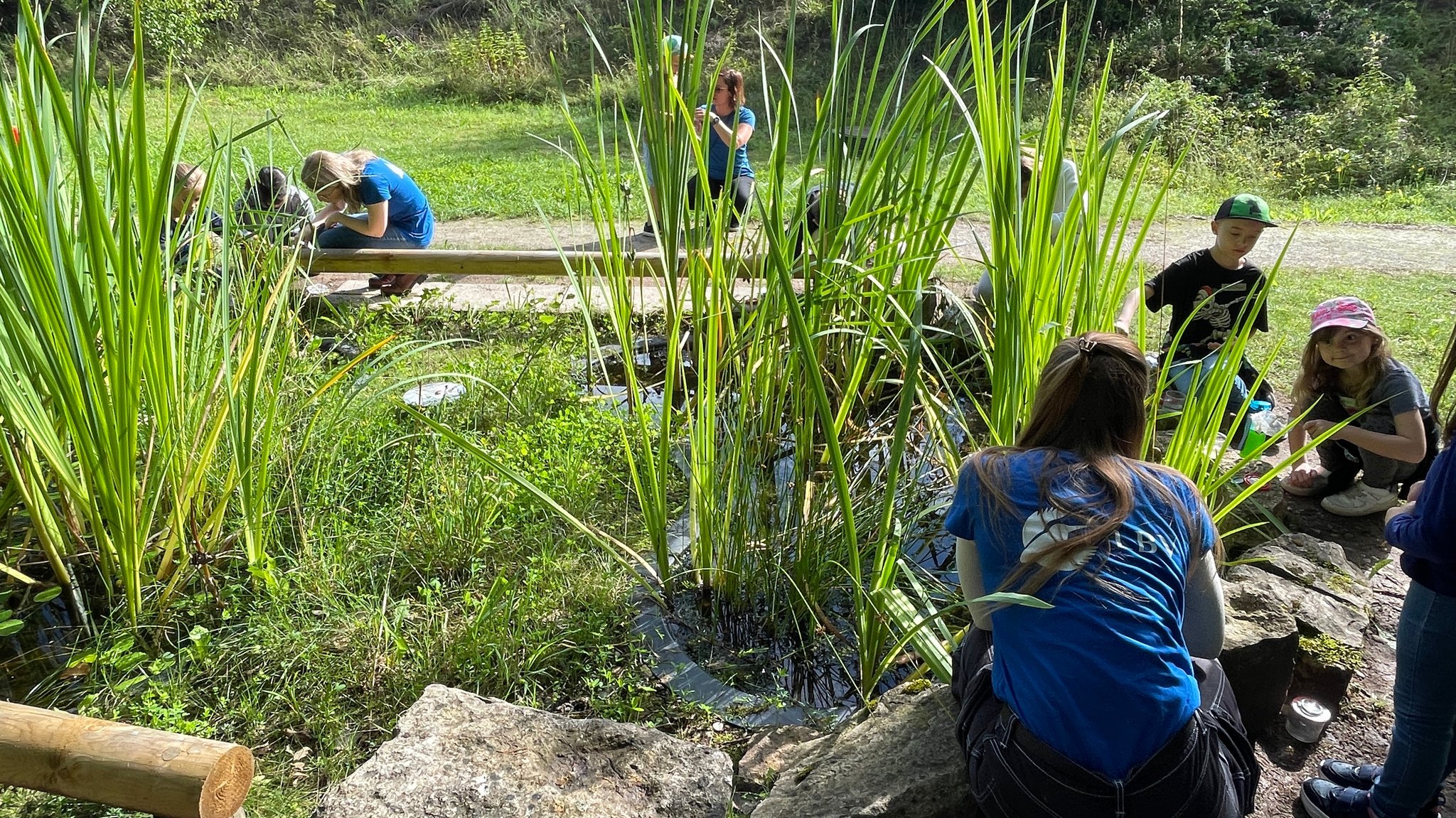 Kinder suchen an einem Teich nach Lebewesen