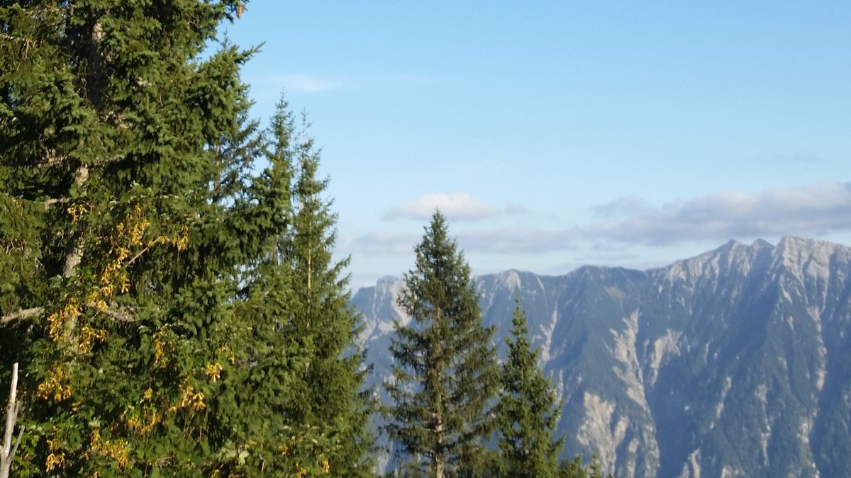 Segelflieger an Felswand in Ammergauer Alpen tödlich verunglückt