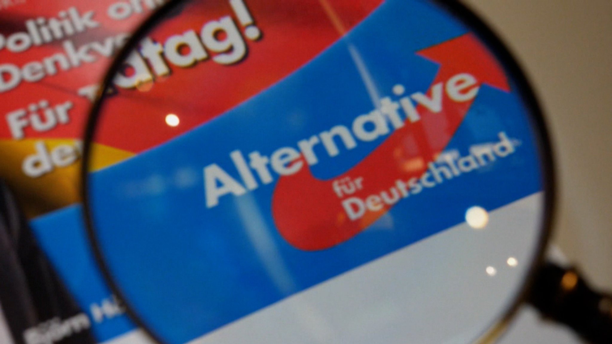 Es dokumentiert politische Ziele und problematische Äußerungen, teils mit klar rassistischer Tendenz. 