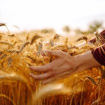 Die Erde, unser Schatz - Alles Natur | Bild: Colourbox.com/Olha