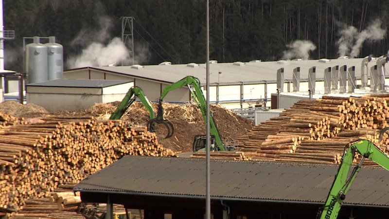 Vor einem Sägewerk stapeln sich Baumstämme. | Bild: BR 2024 Vor einem Sägewerk stapeln sich Baumstämme.
