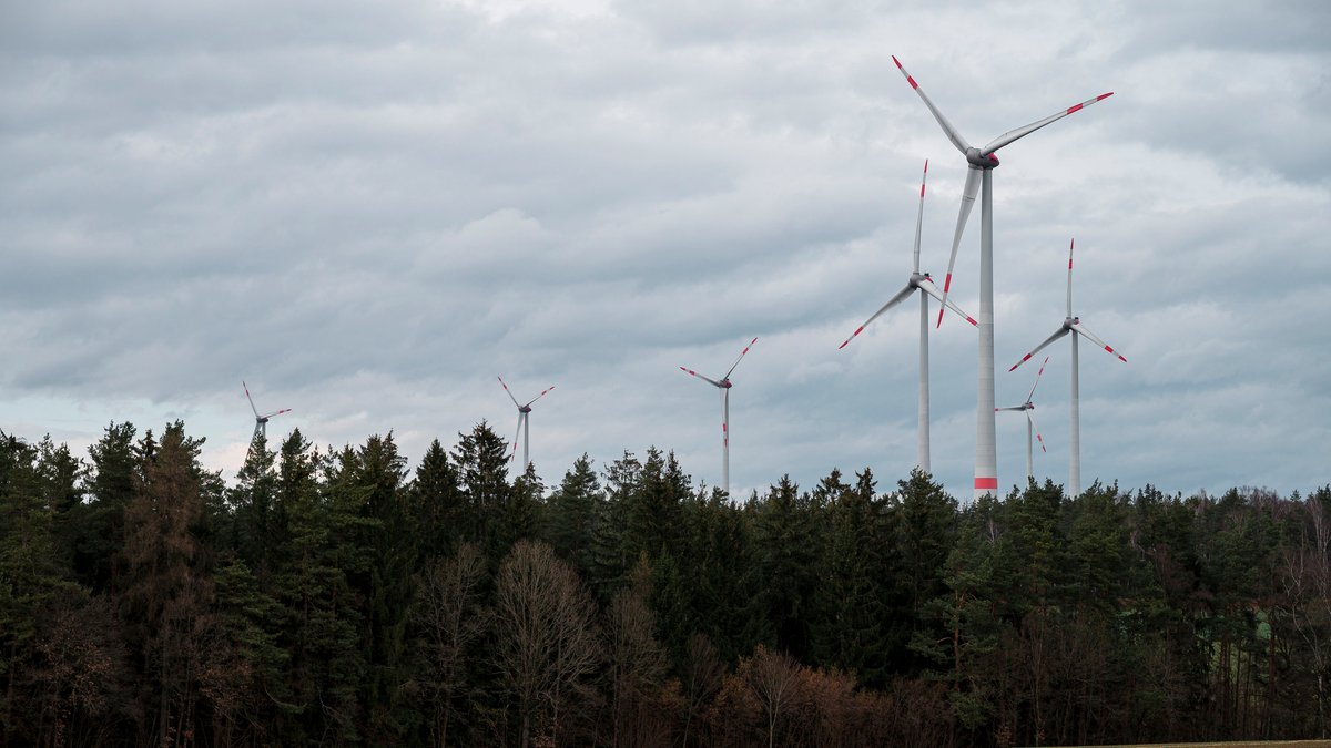Bald auch im Altöttinger Staatsforst? Im Waldgebiet Lindenhardter Forst der Bayerischen Staatsforsten stehen bereits mehrere Windkraftanlagen. 