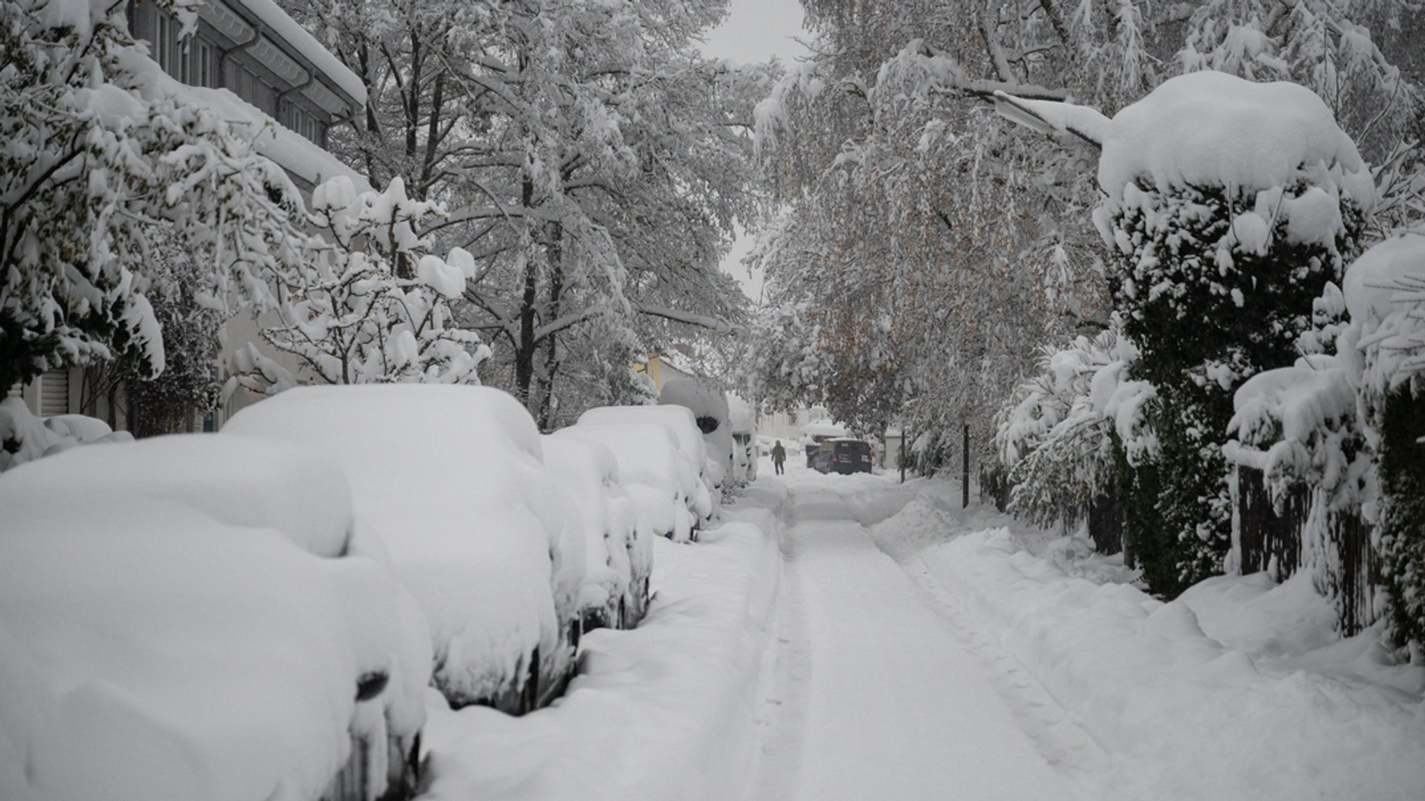 Hohe Schneemassen liegen auf Autos und einer Straße in der bayerischen Landeshauptstadt am Samstagmorgen.