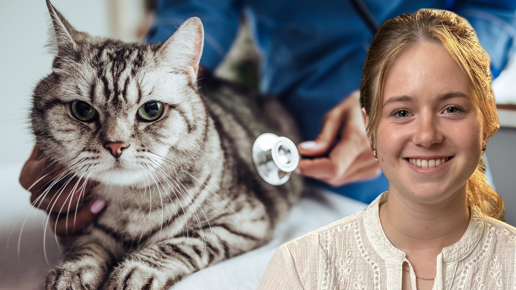 Jona, Studentin der Tiermedizin im 5. Semester an der LMU München, im Hintergrund: Eine Katze auf einem Behandlungstisch in einer Tierpraxis. Wie sieht der Weg zur Tierärztin wirklich aus? Jona gibt ehrliche Einblicke in ihr Studium. 