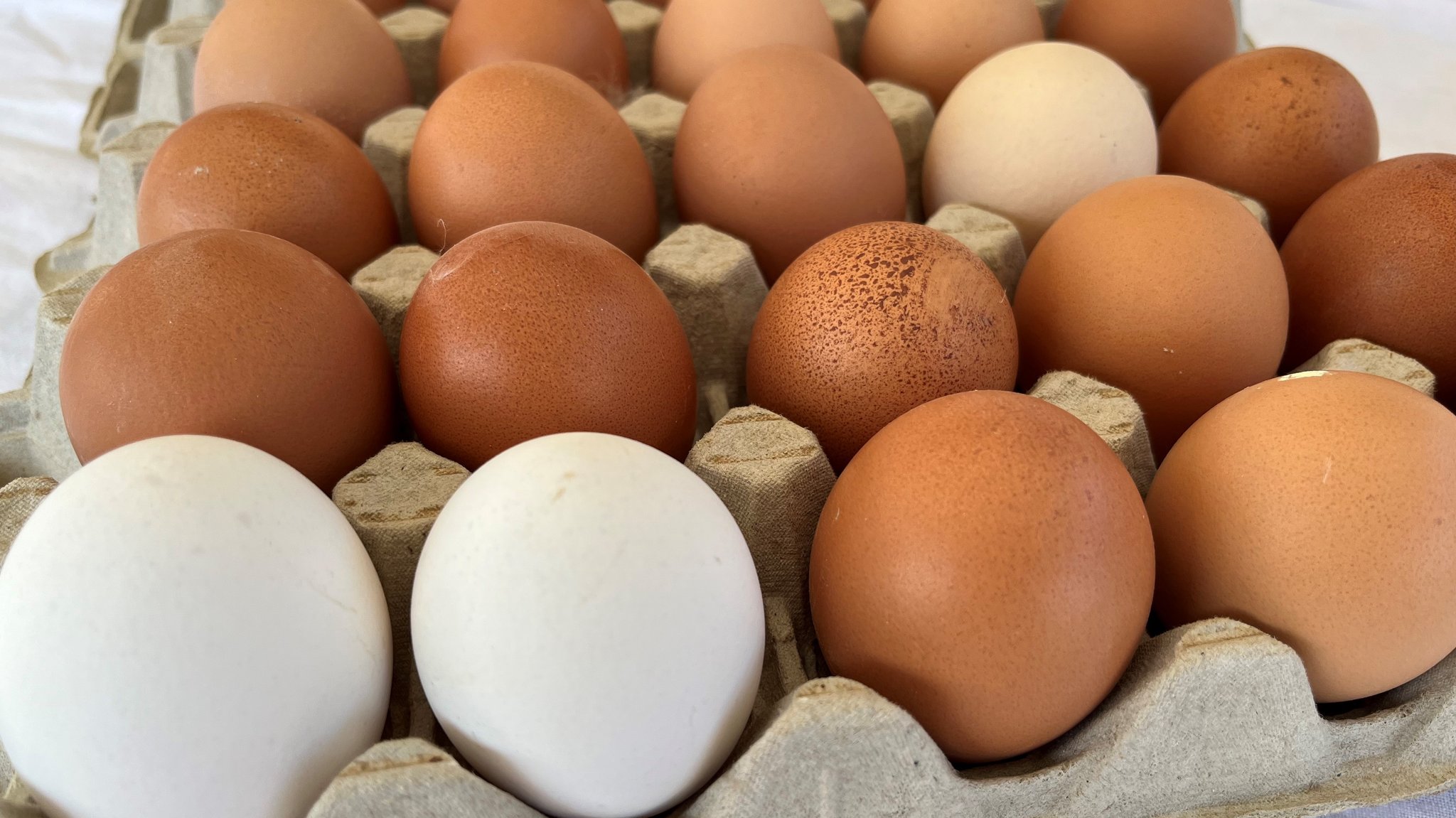 Eier aus dem Wastlhof.