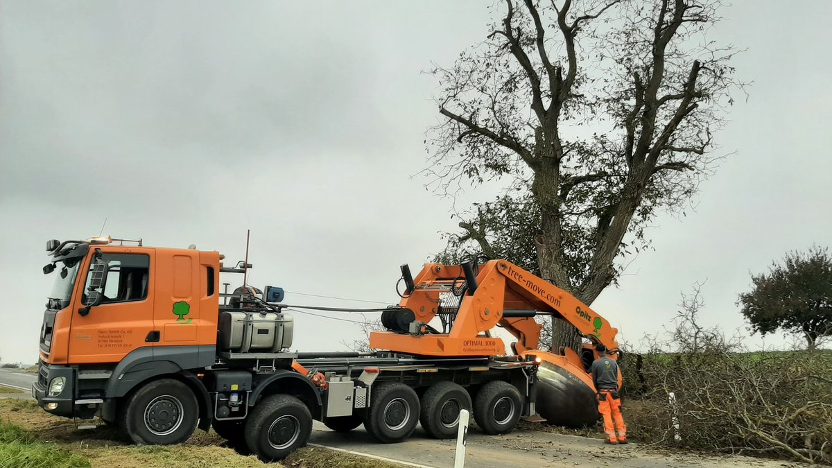 Mitte Oktober versetzte eine Fachfirma mit einem Rundspaten insgesamt acht Bäume entlang der Kreisstraße zwischen Altbessingen und Schwebenried, um Lebensräume für Fledermäuse zu erhalten.