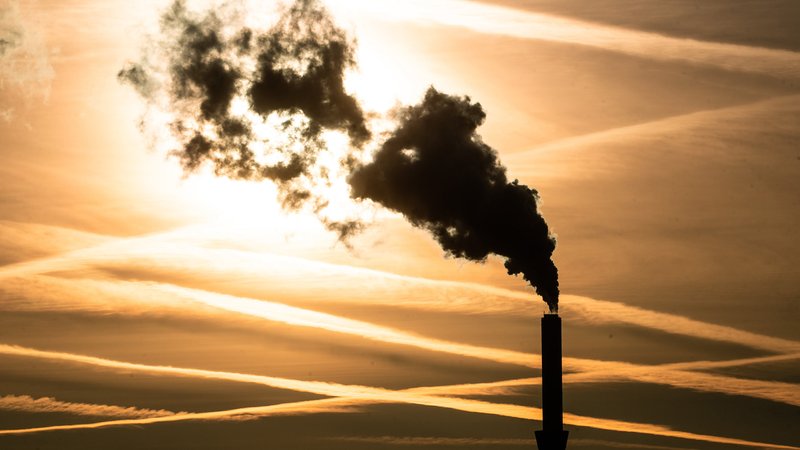 Qualm kommt am frühen Morgen aus einem Schornstein des Hauptklärwerks Stuttgart-Mühlhausen. | Bild: dpa-Bildfunk/Christoph Schmidt Qualm kommt am frühen Morgen aus einem Schornstein des Hauptklärwerks Stuttgart-Mühlhausen.