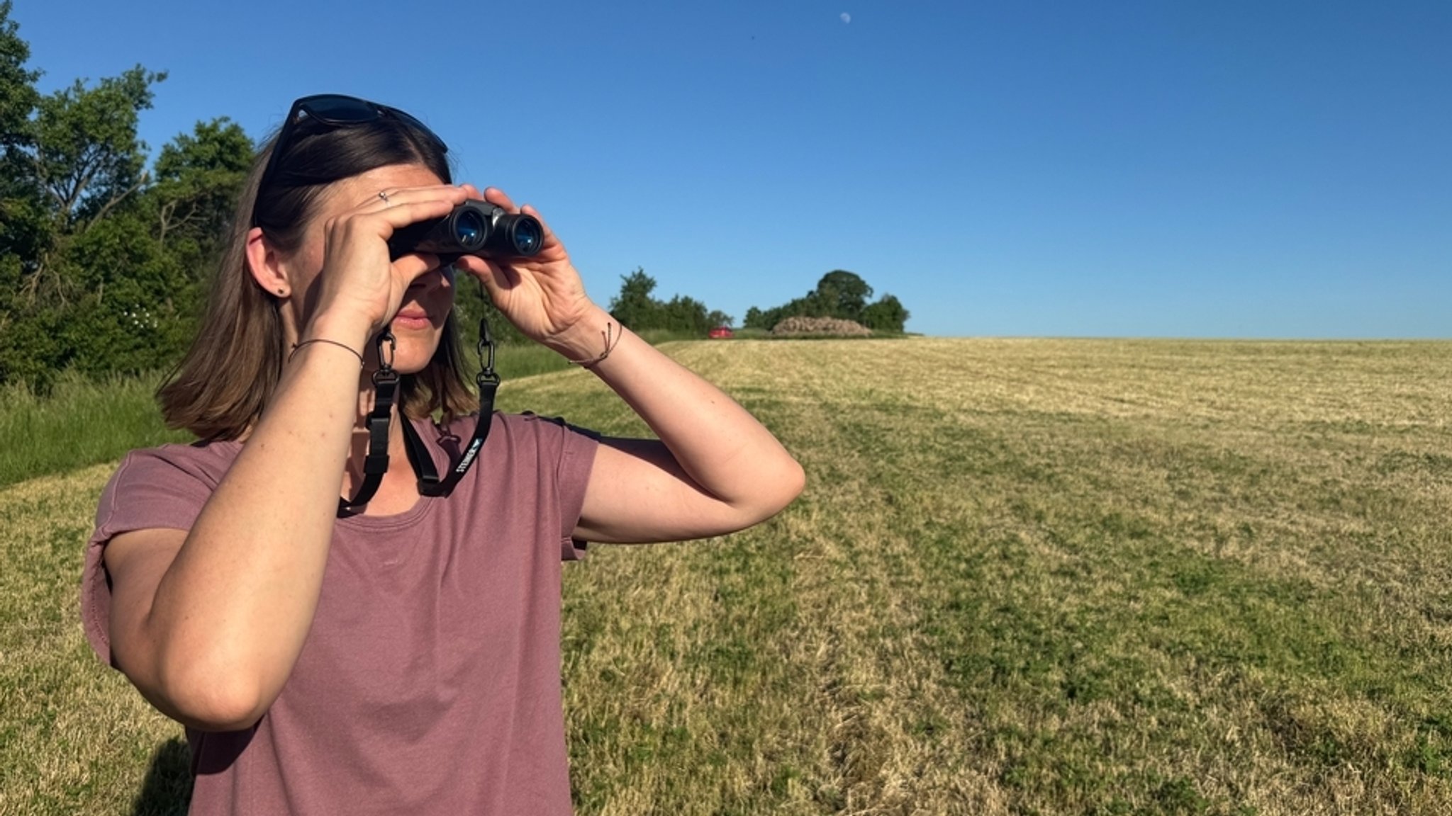 Lisa Vieth sucht mit einem Fernglas nach Wiesenweihen.