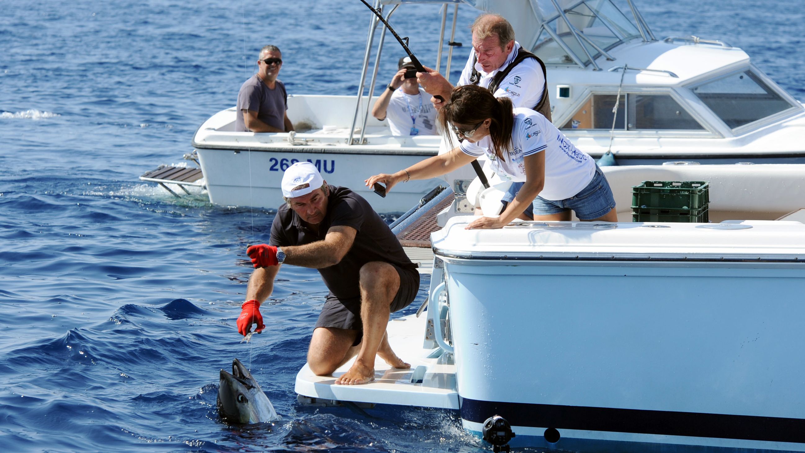 Fisch Totet Angler In Australien Durch Sprung An Die Brust Br24